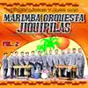 Marimba Orquesta Jiquipilas - Tropicalisimo y Algo Mas